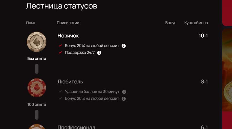 Бонусные предложения